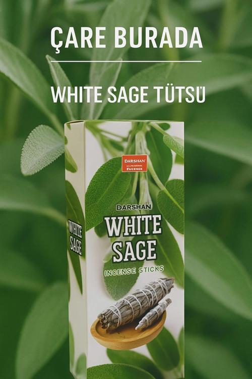 Darshan Incense - White Sage 20'li Çubuk Tütsü
