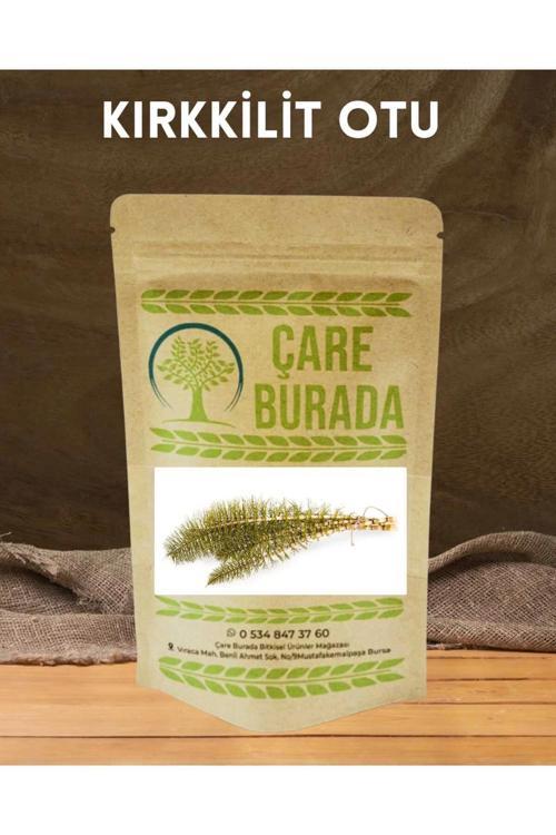 Kırkkilit otu 50 gr