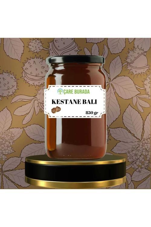 Kestane Balı Zonguldak Bölgesi 850 gr