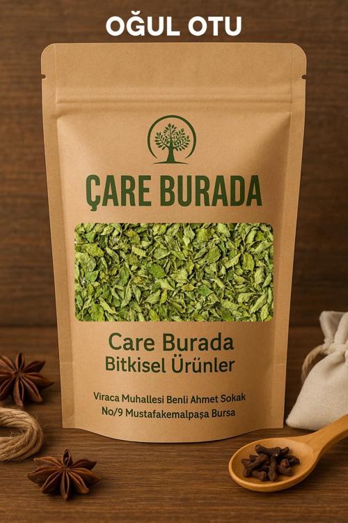 Kuru Oğul Otu 100 Gr