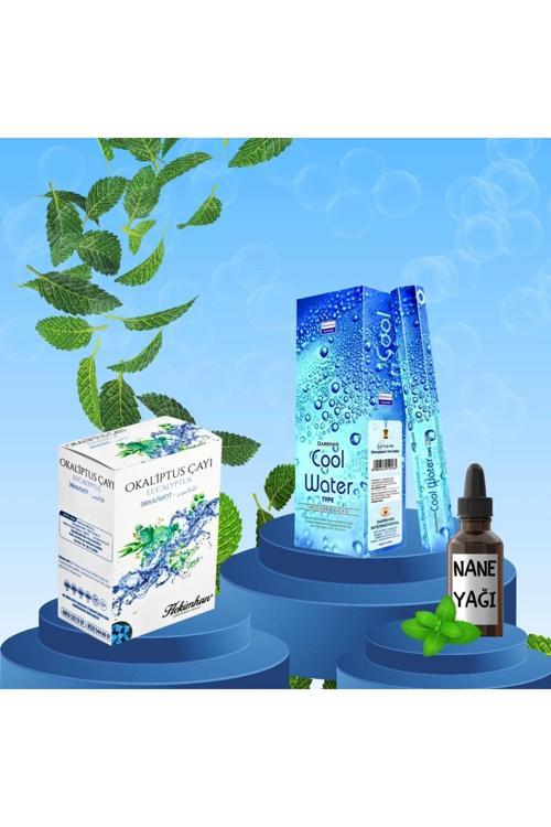 Ferah Ortam Seti Cool Water Tütsü 20 Çubuk + Okaliptüs Küp Çay + Nane Yağı 20 ml
