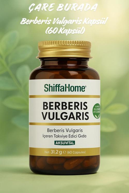 Berberis Vulgaris Kapsül (60 Kapsül)