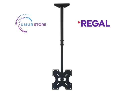 Regal 24NS900 24 '' Uydu Alıcılı HD Ready Lcd Led TV Hareketli Tavan Askı Aparatı