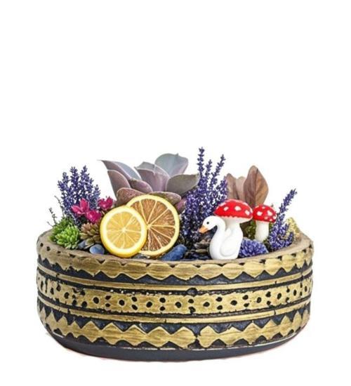 Lavantalı Echeveria Perle Von Nurnberg Teraryum	