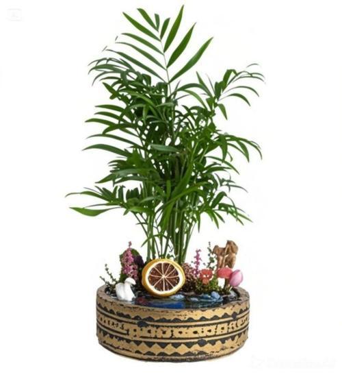 Fresh Chamador Dağ Esintisi Teraryum