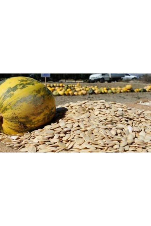 Karnabahar Tohumu 250 Adet