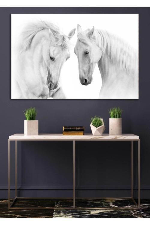 Çiçek Resimli Duvar Dekorasyon Kanvas Tablo Ççkt-690-148