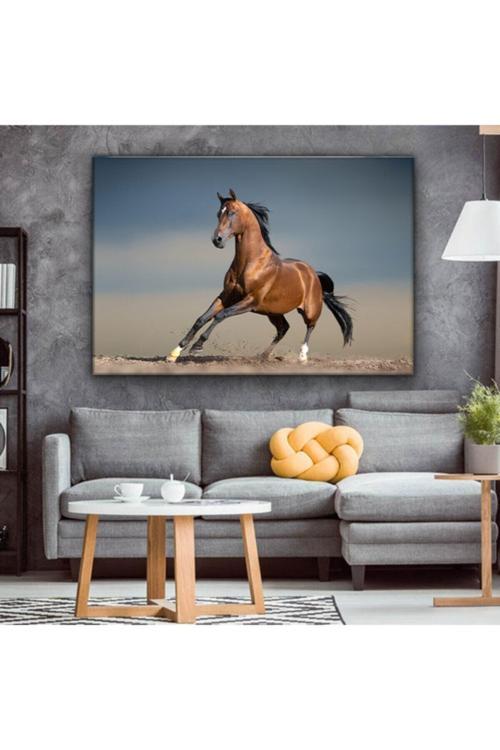 At Resimli Ev, Oturma Odası, Yatak Odası Dekorasyonu Kanvas Tablo