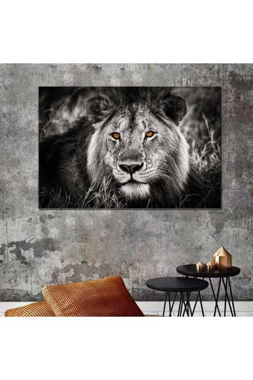Aslan Leopar Kanvas Tablo