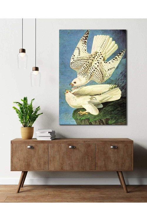 John James Audubon Şahinler Kanvas Tablo