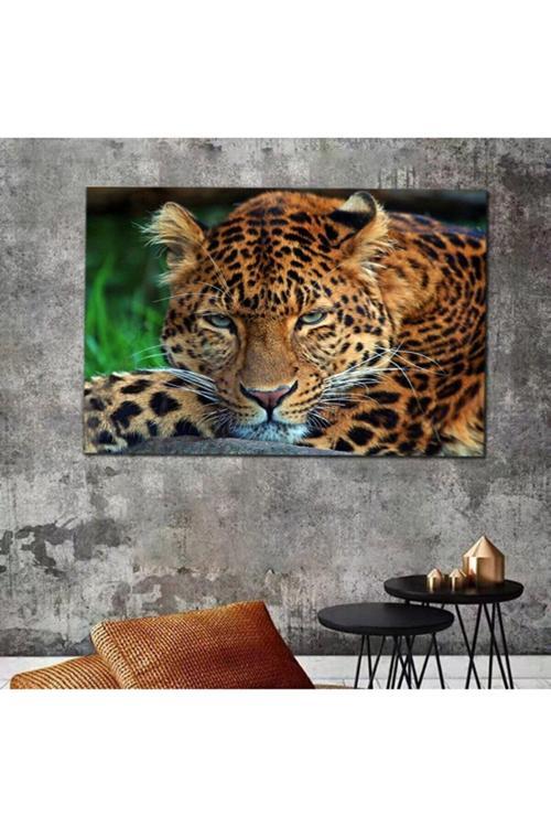 Aslan Leopar Kanvas Tablo
