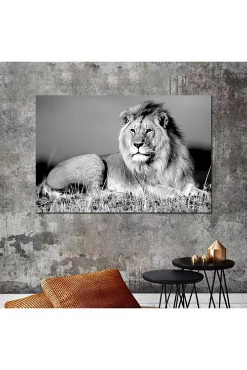 Aslan Leopar Kanvas Tablo