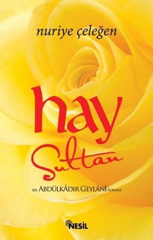 Hay Sultan - Bir Abdülkadir Geylani Romanı
