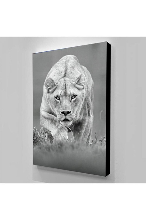 Aslan Leopar Kanvas Tablo