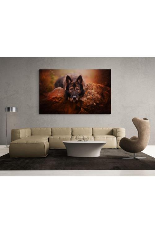Köpek Resimi- Kanvas Tablo