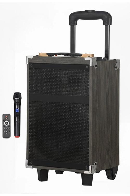 Hepu Hp-903 Partybox Bluetooth Hoparlör 8 Woofer 40W Güç 1 Kablosuz Mikrofon Kumanda