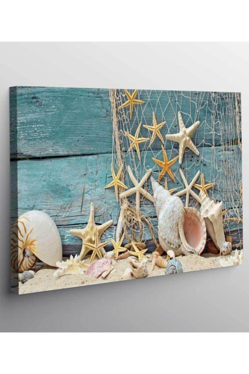 Deniz Kabukları Kanvas Tablo