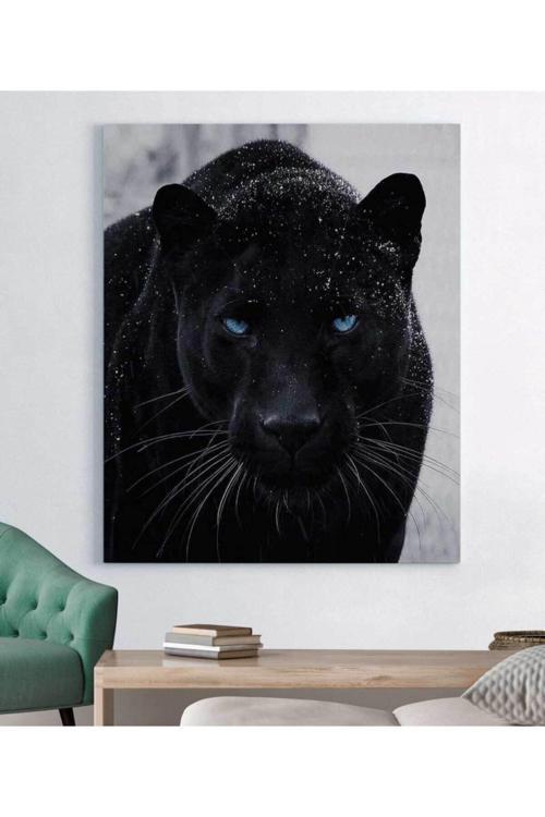 Siyah Panter Kanvas Tablo