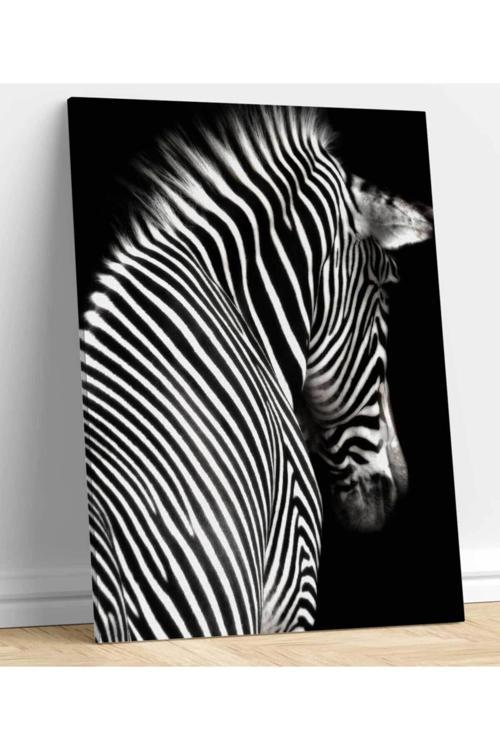 Zebra Dekoratif Kanvas Tablo