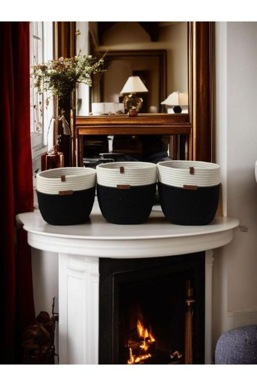 3 Adet Sepet Saksılık