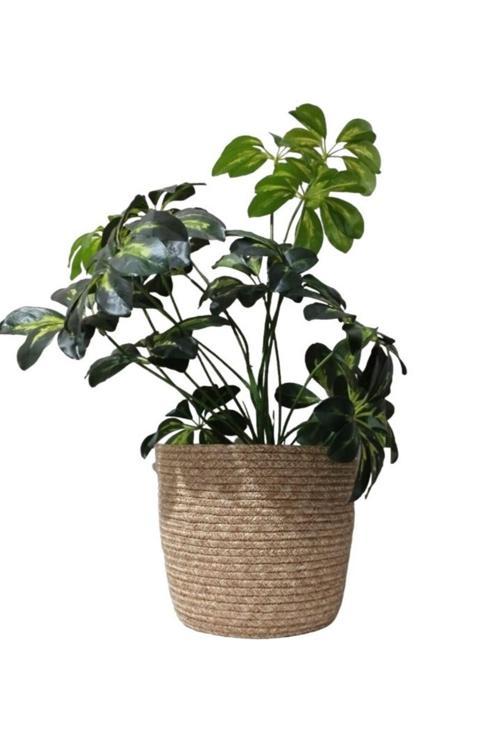 Hasır Sepet Saksılık