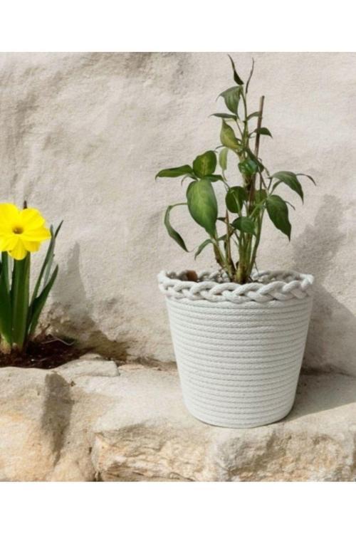 Dekoratif Sepet, Saksılık