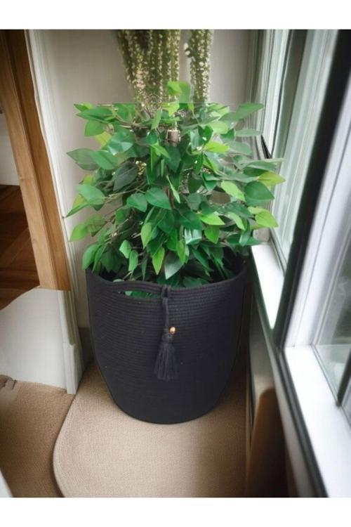 30X30 Düzenleyici Sepet Saksılık