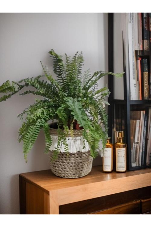 Dikilebilir Hasır Görünümlü Püsküllü Saksı, Sepet, Saksılık