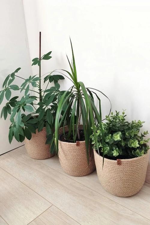 Jüt Hasır Örgü Dekoratif Üçlü Saksı Sepet