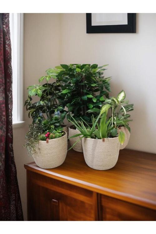 5 Adet Sepet Saksılık Düzenleyici Dekoratif Saksılık Hediyelik Sepet Çiçeklik