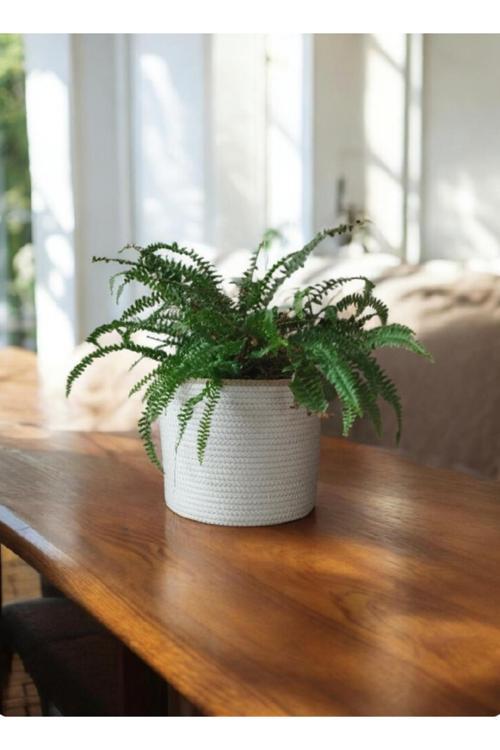 Çok Amaçlı Düzenleyici Sepet Saksılık Hediyelik Sepet