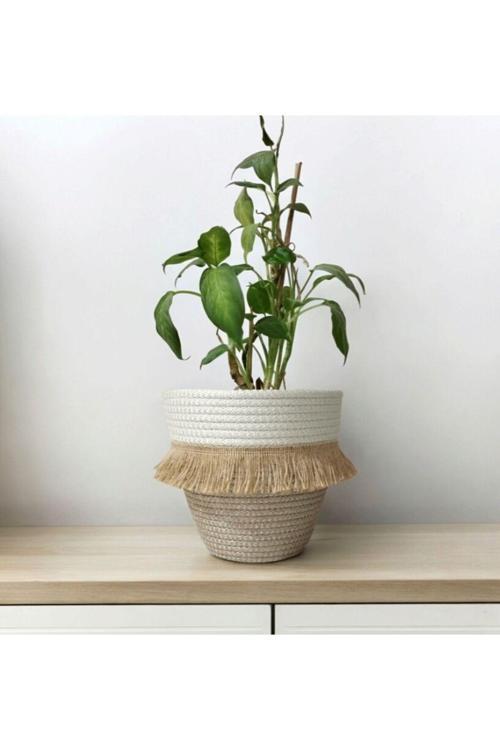 Düzenleyici Sepet Saksılık