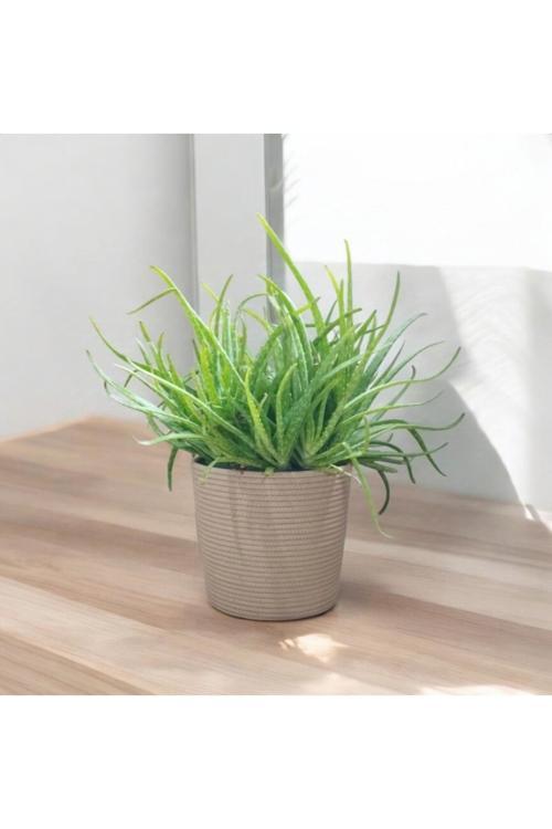 Çok Amaçlı Sepet, Saksılık,Saksı Giydirme, Sepeti