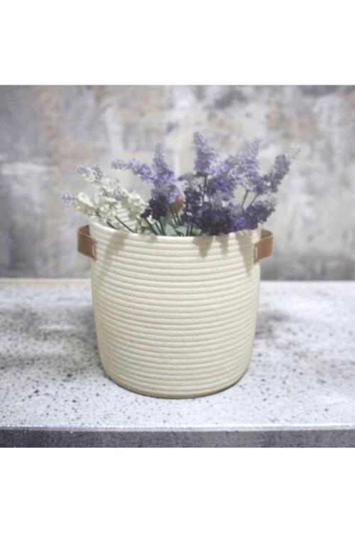 Düzenleyici Sepet, Saksılık