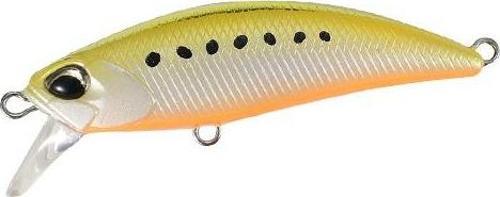 Tetra Works Toto 48HS AST0333 Gold Sardine