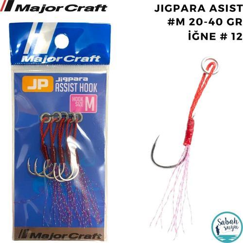 Jigpara Tekli Asist İğne #M 20-40gr (5 Adet)