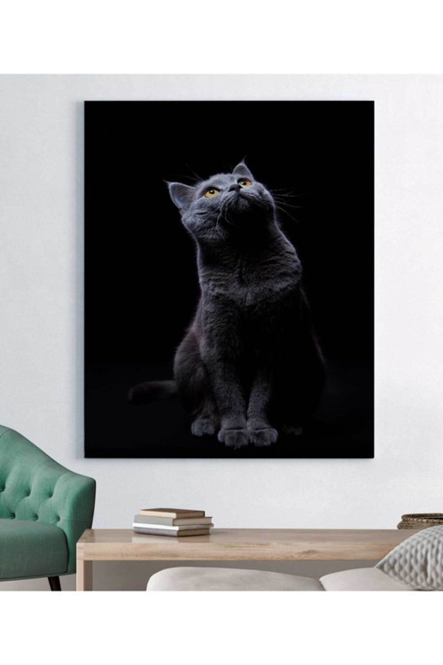 Kedi Kanvas Tablo