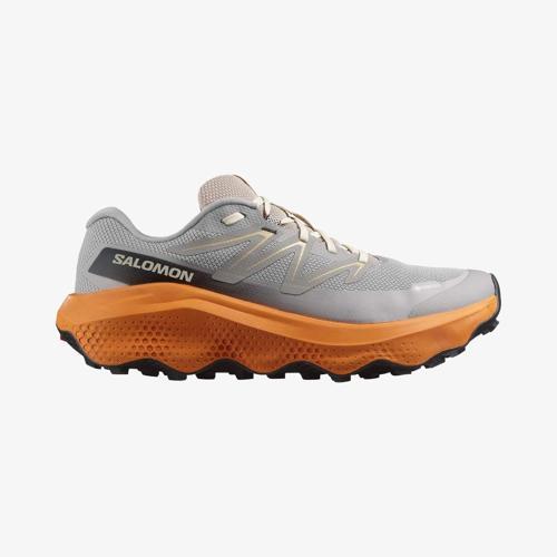 ULTRA FLOW 2 GORE-TEX Erkek Ayakkabısı L47884200