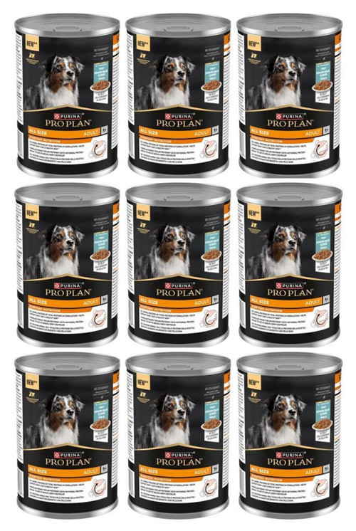 Balıklı Yetişkin Köpek Konservesi 400 Gr*9 Adet