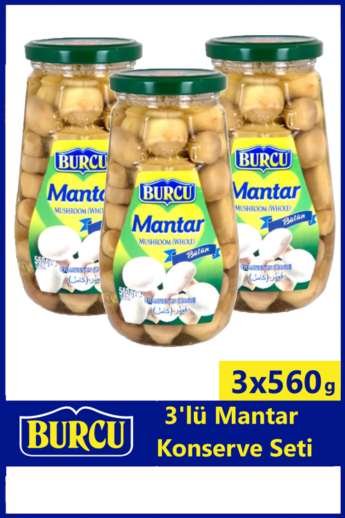 Bütün Mantar Konservesi 560 gr x 3 Adet