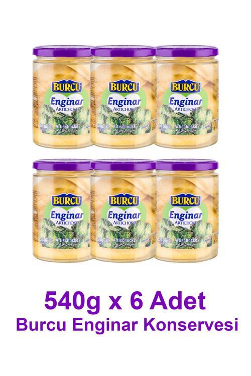 Enginar Konservesi Gramlık 6 Adet