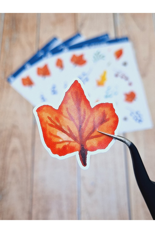 - Floral & Leaf Temalı Laptop Notebook Telefon Tablet Ajanda Sticker Seti