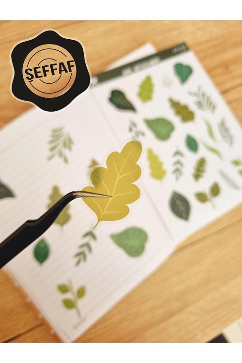 - Şeffaf Floral & Leaf Temalı Laptop Notebook Telefon Tablet Ajanda Sticker Seti