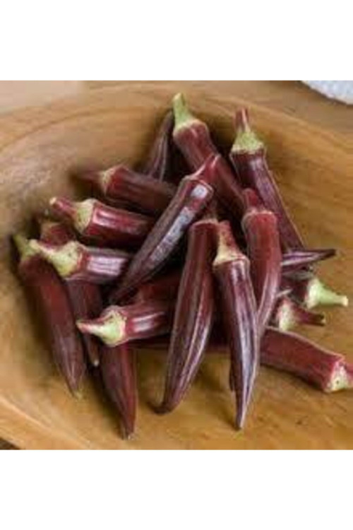 30 Adet Tohum Silor Yerli Parmak Salatalık Tohumu Sülor Salatalık Sürpriz Tohum