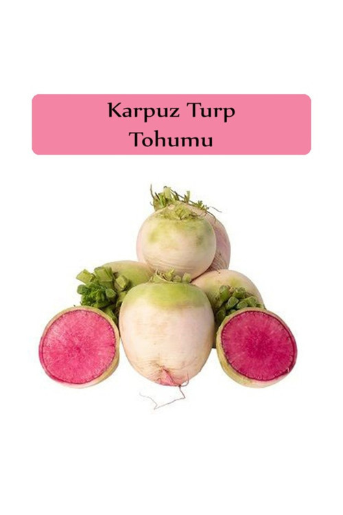 20 Adet Tohum Hollanda Sarı Kırmızı Kadife Çiçeği Tohumu Hobi Bahçe Saksı Toprak