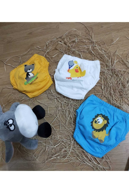 Erkek Bebek Sevimli 3'Lü Alıştırma Külodu