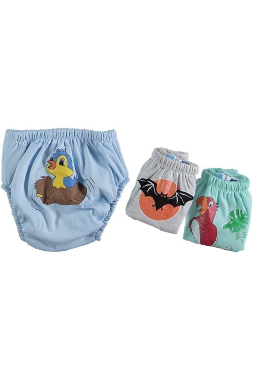 Poopes Erkek Bebek 3'Lü Alıştırma Külodu 60155