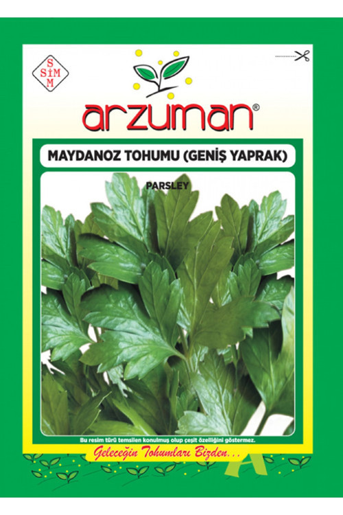 Köy Tohumları 300 Adet Tohum Organik Sarmalık Niğde Lahanası Tohumu Yeni Mahsüldür