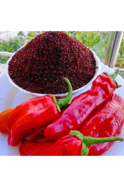 20 Adet Tohum Eko Paket Kara Kolsuz Kabak Tohumu Lezzetli Kabak Sürpriz Hediye Tohumlu Ata Tohum