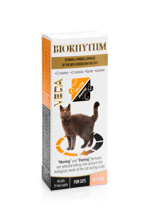 Cat Bıorhythm